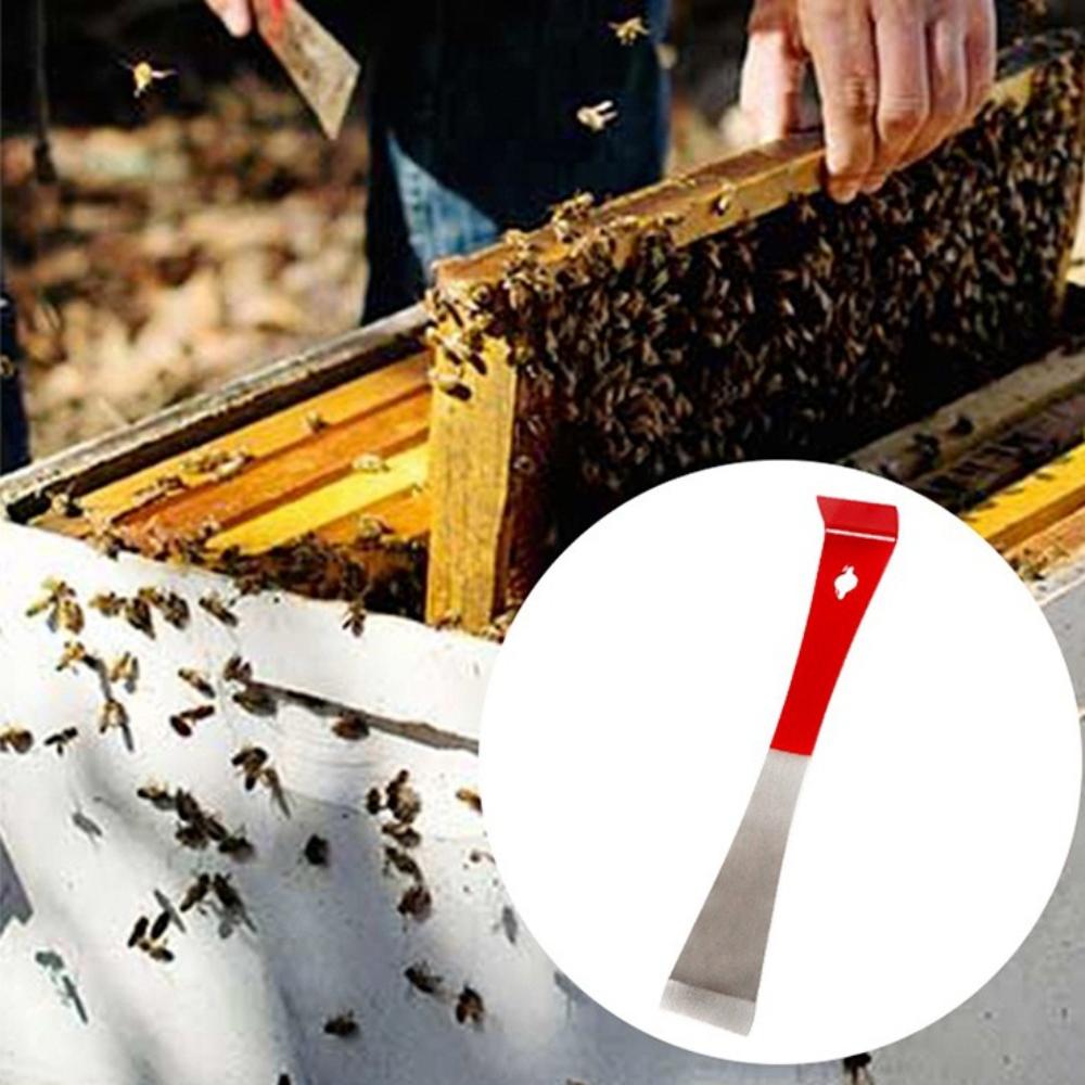 2pcs Stainless Steel Beehive Scraper Tools - Manual Beekeeping Equipment for Hive Inspection, Frame Maintenance & Pest Removal - Beekeeping Supplies
