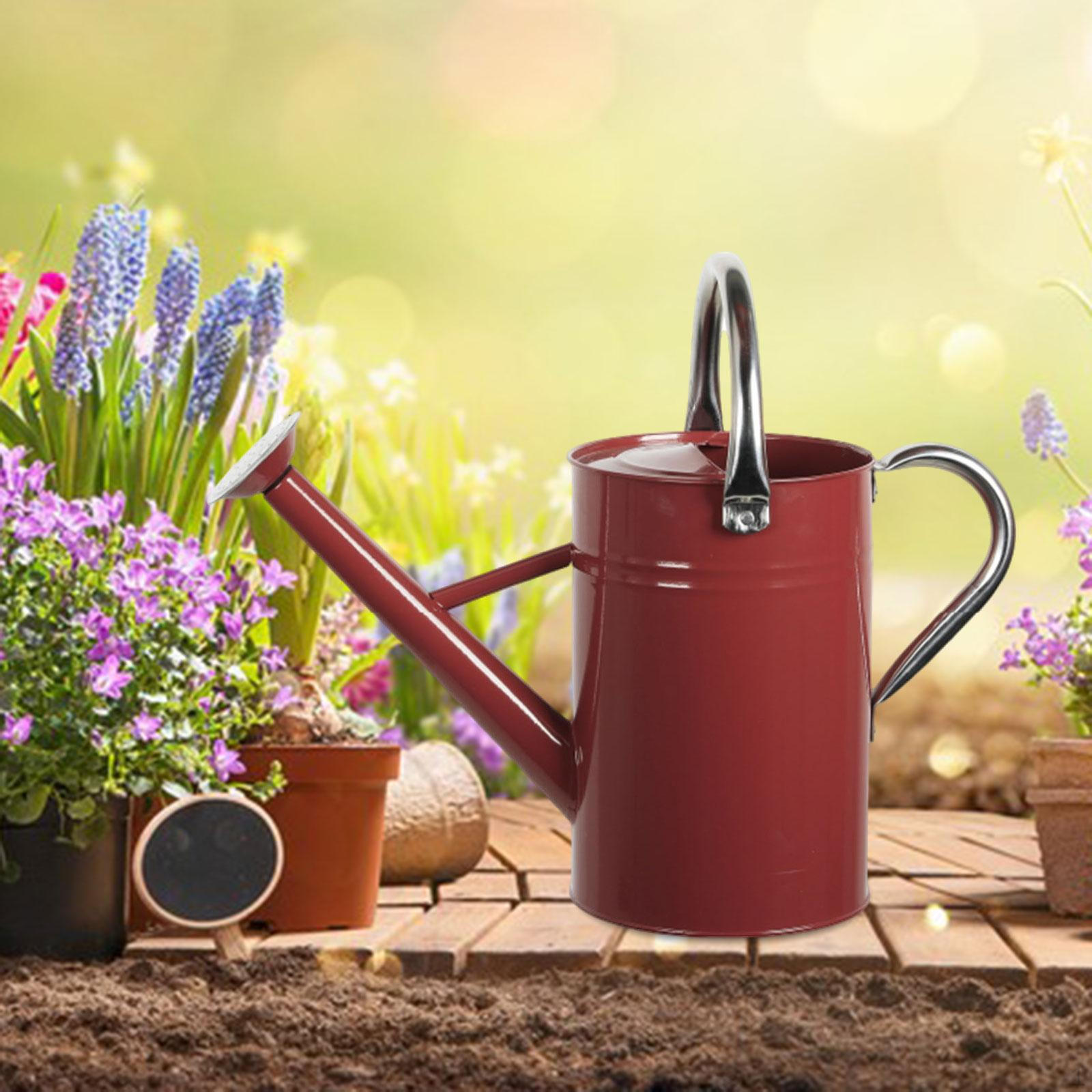 5L Watering Can for Indoor And Outdoor Plants, Decorative, Sturdy Construction, Stainless Steel красный
