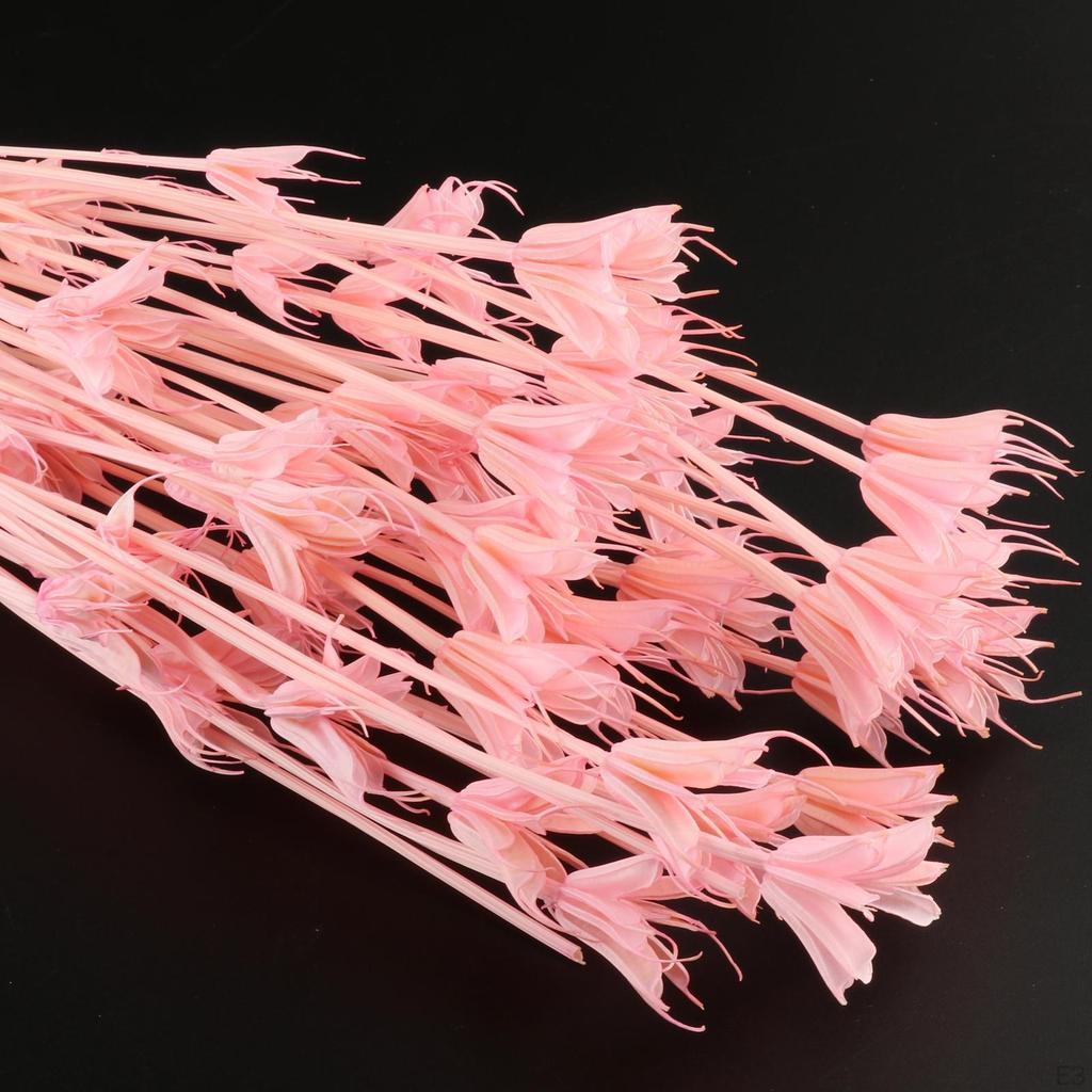 Bouquet di Fiori Secchi con Stella, Composizione Centrotavola per Decorazioni d'Ufficio