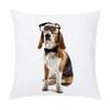 45X45Cm Dog Peach Skin Hug Pillowcase Custom Bedroom Car Sofa Cushion Pillowcase Cushion Cover