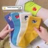 Unisex (4 yaş ve üzeri için) – Çoraplar
