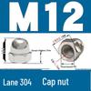304 Stainless Steel Decorative Cap Nut with Integrated Ball Head DIN1587