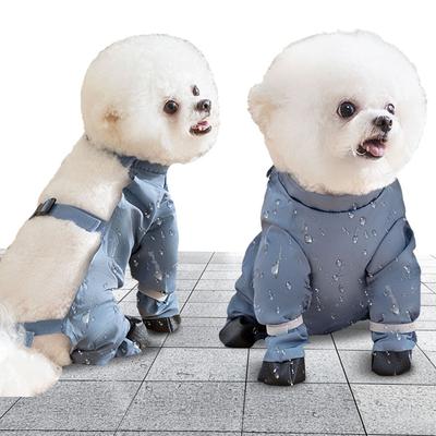 Giyim ve ayakkabı – Köpek ayakkabıları