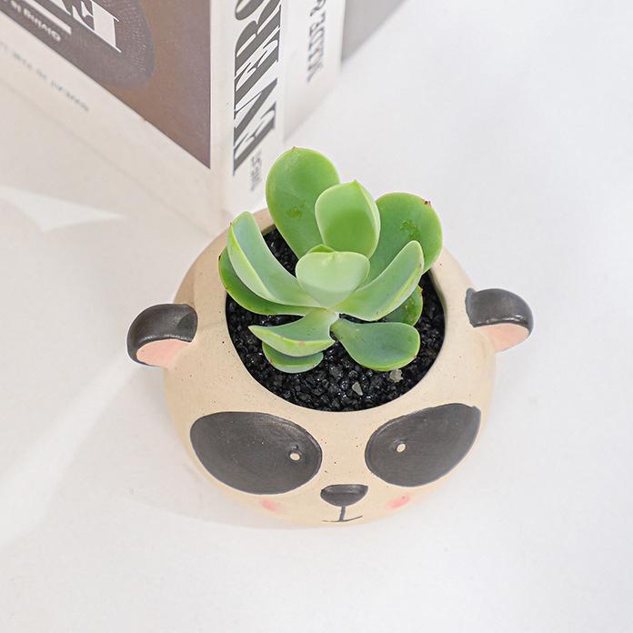 Cartoon Ceramic Flower Pot Planter Desktop Decoration Ornaments Garden Supplies Bonsai Succulent Pot Plant Pot