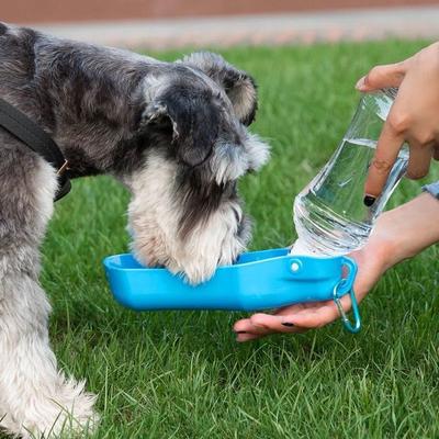 Portable Pet Dog Travel Water Bottle Foldable Plastic Feeding Water Bowl Outdoor Cat Drinking Fountain Pet Accessories