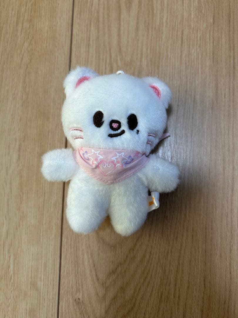 

[USED] SKZOO PLUSH Genielet