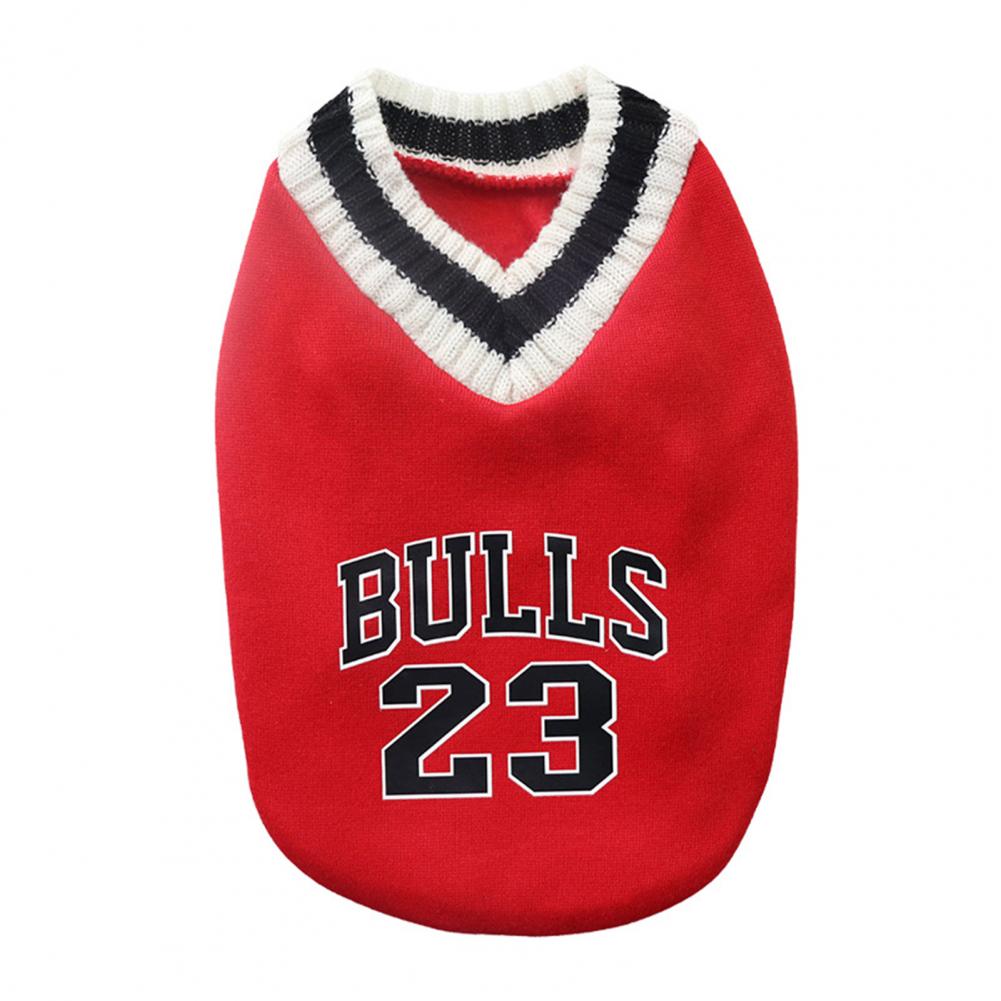 Haustier Sweatshirt Stilvoller Zweibeiniger Hunde Welpen Pullover Kostüme Verdickter Hunde Pullover Haustier Hund Zweibeiniger Pullover Kleidung für