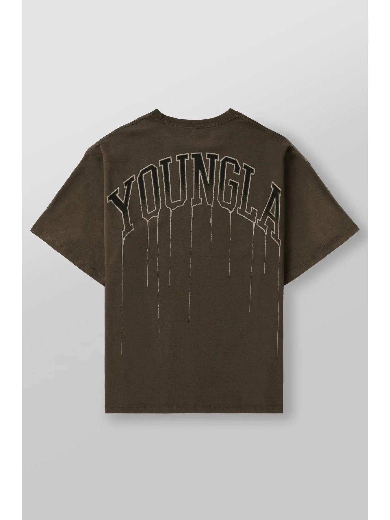 

Чоловіча бавовняна футболка оверсайз з круглим вирізом для залу YOUNGLA 240 тканина Extra Large коричневий