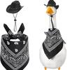Conjunto de Chapéu de Cowboy Ocidental e Babador para Gansos Brancos