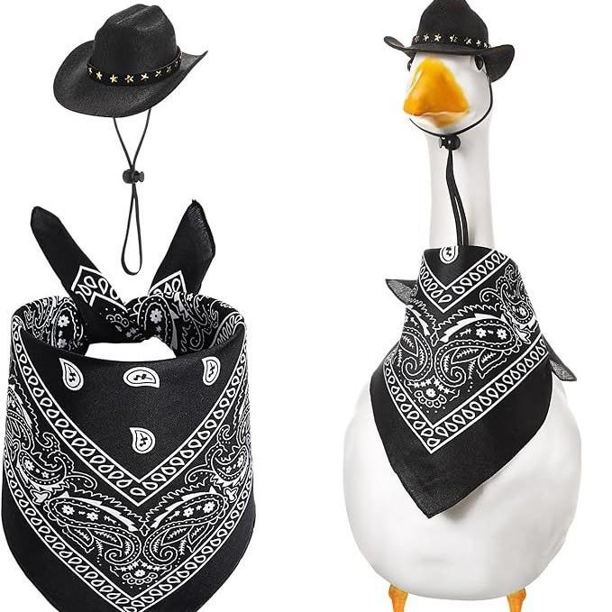 

Whites Gooses Western Cowboy Hat Bib Set One Size чорний