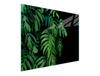 SZKLANA DESKA DO KROJENIA 52x30 MONSTERA