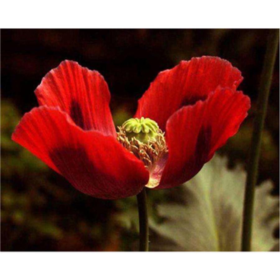 Full 5D Diy Diamond Painting Beautiful Flower Diamond Embroidery Full Lay Anime Cross Stitch Kits Home Decor Handmade Gift