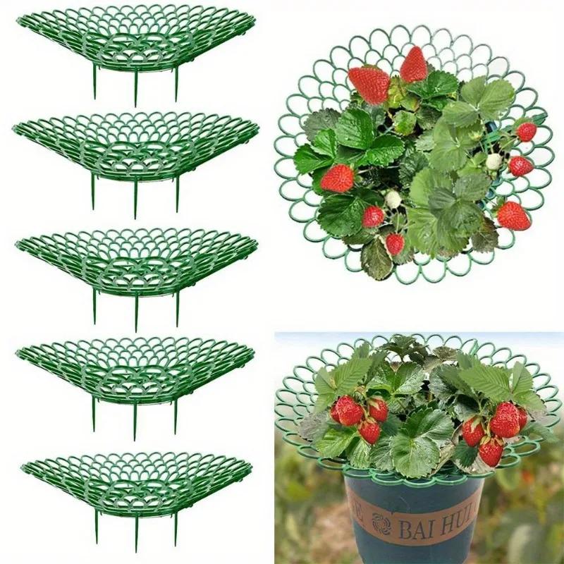 10pcs/set Strawberry Plant Support Plastic Garden-Tool Plant Growing Frame with Balcony Planter Tray for Vegetable Planting