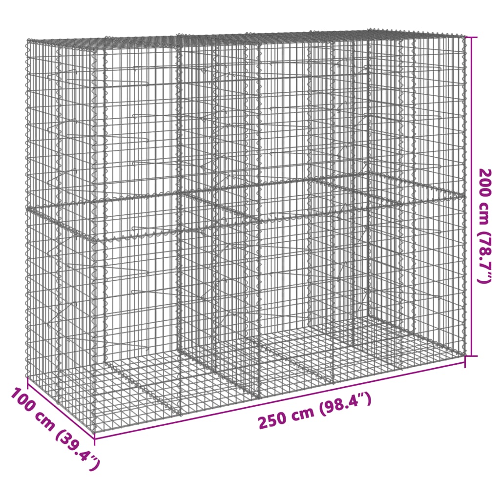 Gabion with Lid 250x100x200 Cm Galvanized Iron