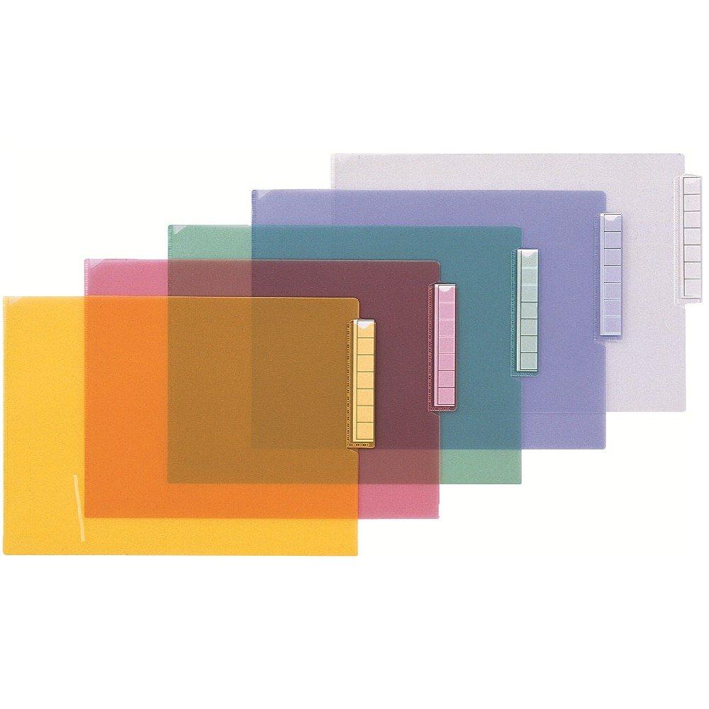 LIHIT LAB Medical Chart Folder, Single Pocket, 50 Sheets, A4 Size, HK708