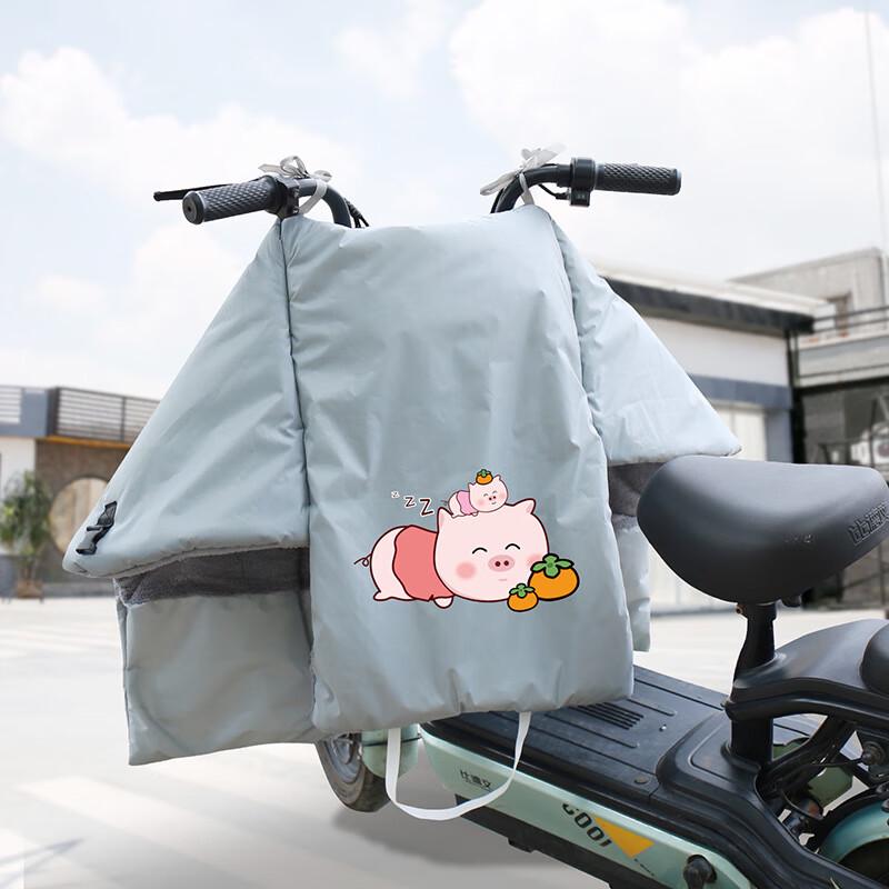 DUTRIEUX Electric Scooter Winter Windproof Cover