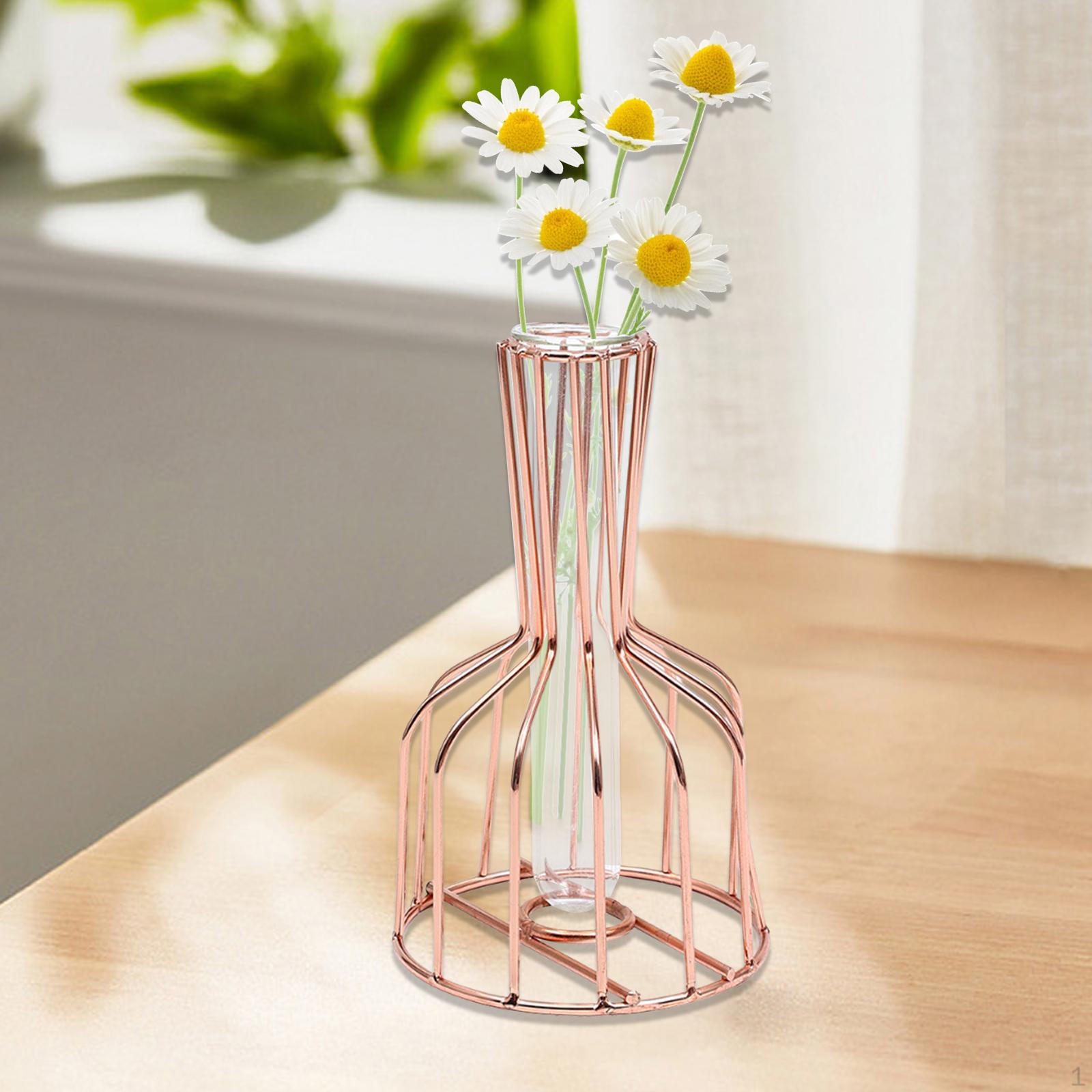 

Настольная гидропонная ваза-кашпо террариумы бутон комнатные растения современное украшение стола цветочный горшок Champagne