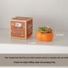 Goodrede Rose Persimmon Scented Candles (5-Pack)