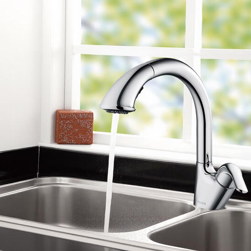 Moen 67001 Multi-Function Pull-Out Basin Faucet