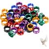 Open Bird Ring Bird Leg Bands Rings Open Bird Leg Rings Aluminum Split Bird Leg Rings Ldentifying Pigeons Training Rings Hibiscus Birds, Parrots,