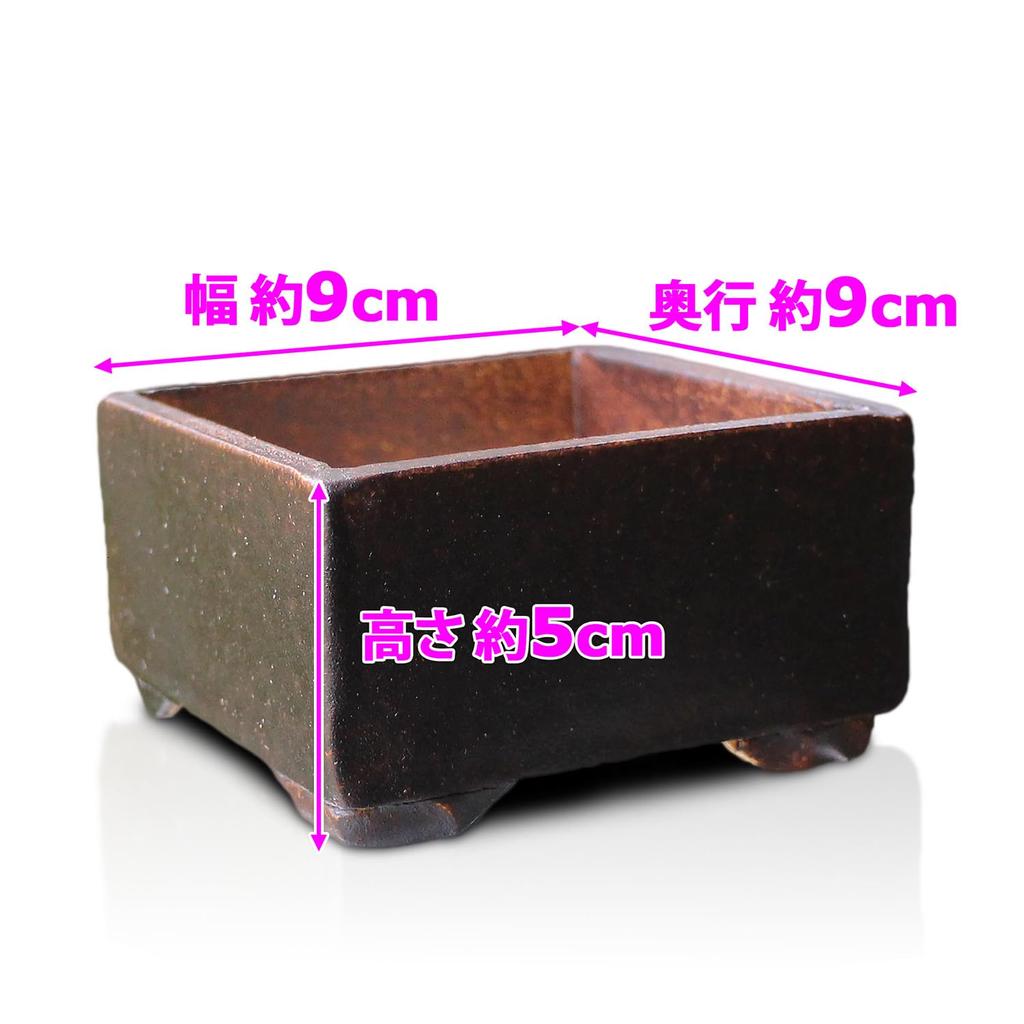 Umekichi Bonsai 3 Square Bonsai Brown Yokkaichi Banko Fits Tuberous Approximately 9cm Supplies, No. Pot, Glazed, Ware, Eigama, Square, Shallow,
