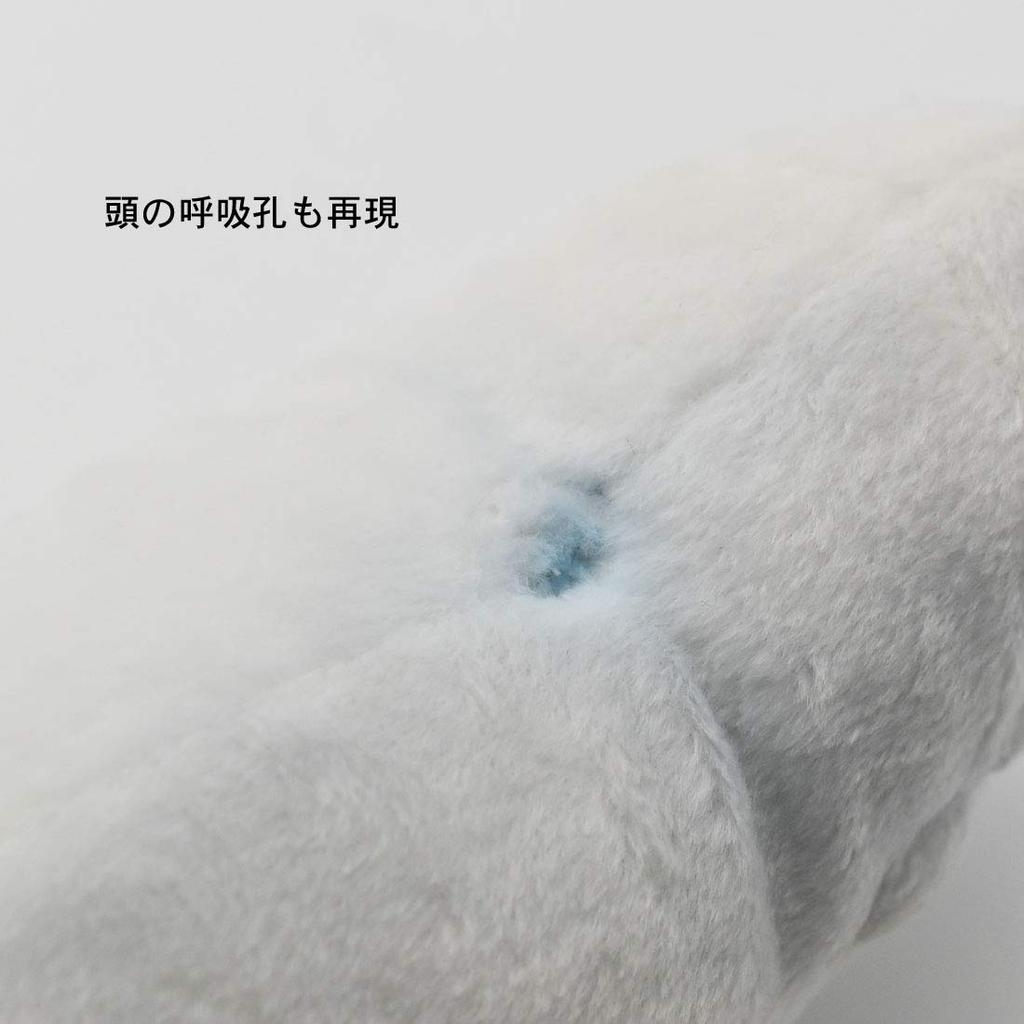 BH6626 HANSA Beluga 42