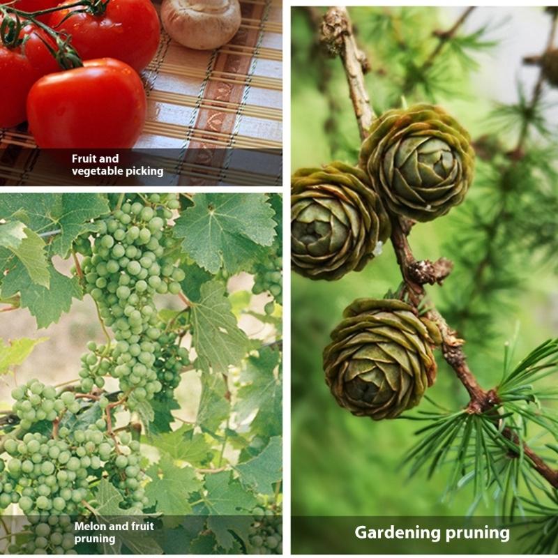 Profesionální zahradnické nůžky na prořezávání Nůžky Čepele z nerezové oceli Ergonomická rukojeť pro přesné zastřihování a péči o rostliny