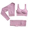 Women's Solid Color Seamless Ribbed Sports Bra and High Elastic Yoga Set