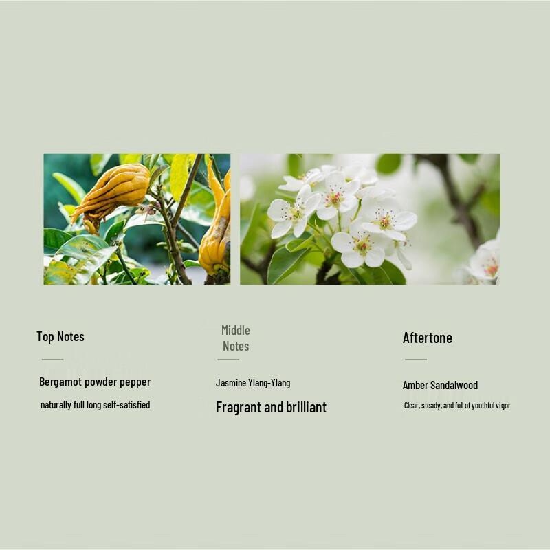 Half Acre Flower Field Garden Jasmine Scented Shower Gel