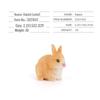 Desktop Farm Animal Models: Puppy, Sheep, Rabbit, Chicken, Duck, Goose Ornaments