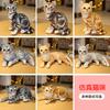 Simulation 3D Cat Doll Plush Toy Kitten Cat Doll Children'S Birthday Gift
