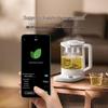 Xiaomi Smart Multi-functional Health Pot P1 CN plug (adapter included)