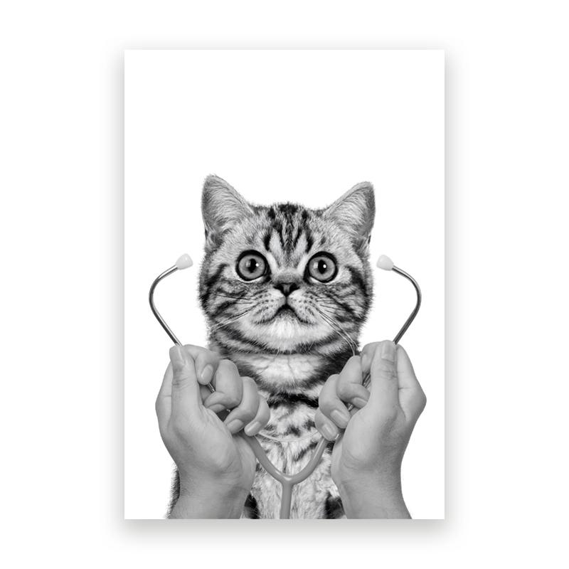 Pet Care Art Prints Black White Photography Posters Cat Dog Canvas Painting Animal Clinic Wall Pictures Veterinary Office Decor