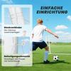Football goal, sturdy net, plastic frame, pegs, 180L x 92W x 124H cm, white