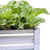 Galvanized Raised Garden Beds for Vegetables Large Metal Planter Box Steel Kit Flower Herb 6 X 3 X 1 Ft 2 Pack Galvanized