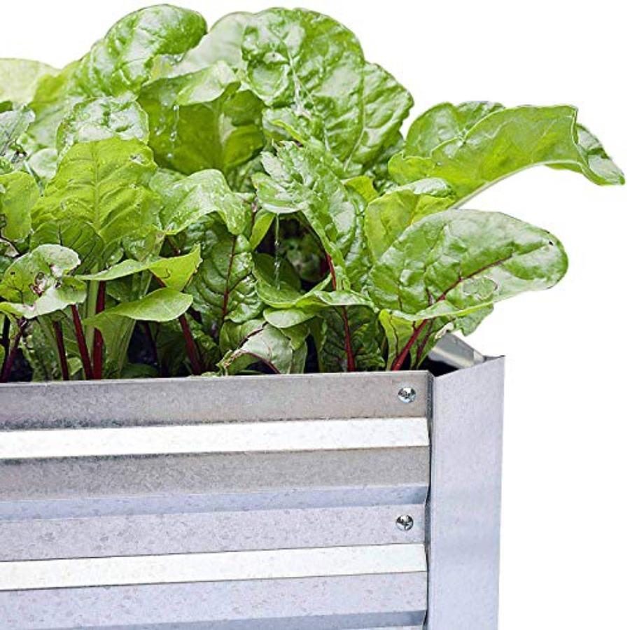 Galvanized Raised Garden Beds for Vegetables Large Metal Planter Box Steel Kit Flower Herb 6 X 3 X 1 Ft 2 Pack Galvanized