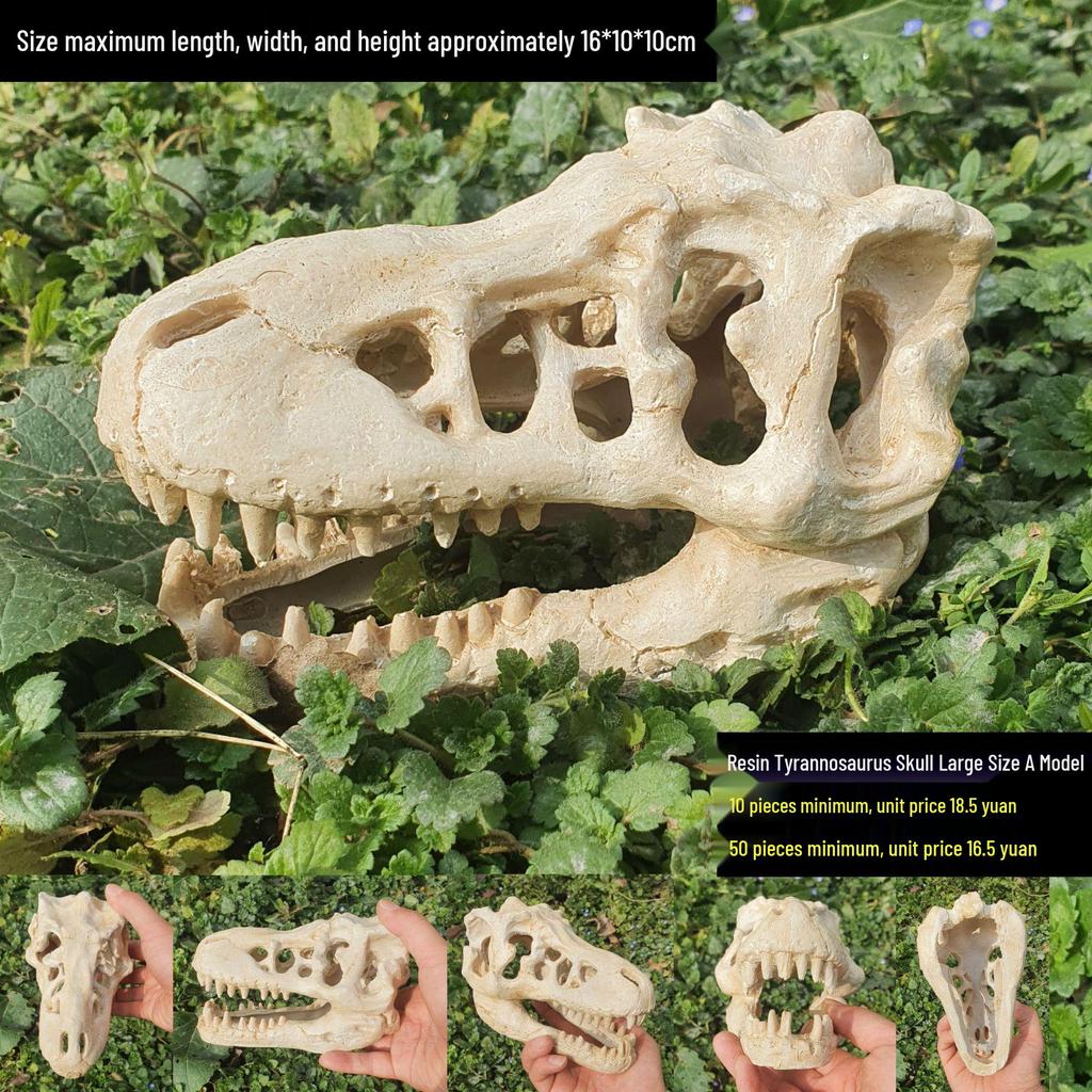 Akril Hüllőtenyésztő Doboz Dekoratív Koponyával