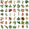 50 Transparent Cartoon Green Plant Sticker Pack Waterproof Transparent PET Manual Material Decorative Guitar Notebook