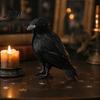 Articoli per la Decorazione della Casa da Brivido Corvo Nero Realistico Decorazione di Halloween, Statuetta di Corvo Piumata Realistica Accessori per Eventi a Tema per Casa Infestata,