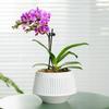 Breathable Double-Layer Root Control Flower Pots Set