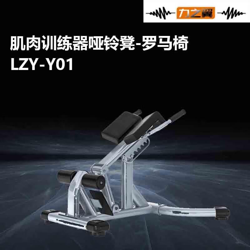 Power Wing Professional Roman Chair Back Extension Bench
