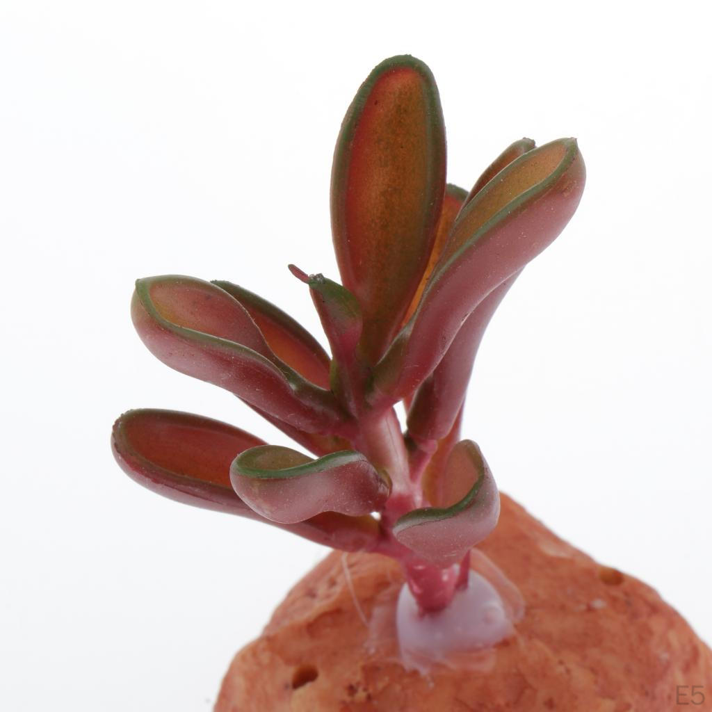 Aquarium Fish Tank Ornaments Reptile Decoration