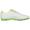 Li Ning MG Multi Ground Artificial Turf Cushioning Slip Resistant Abrasion Resistant Soccer Shoes Men's Green White ASFT015-1