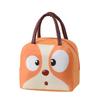 Insulated Bento Lunch Tote Bag for Office or School