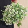 Fake Green Plant Artificial Eucalyptus With Full Sky Star Home Decor For Living Room Display