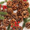 Natural Pine Cones Christmas Ornaments DIY Craft Supplies