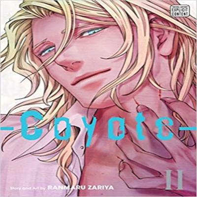 Literatura piękna – Komiksy i manga