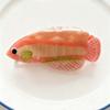 Acrylic Silver Arowana Shark Clip Fish Acetic Acid Hair Claw Guppy Hair Claw  Headwear