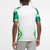 Nike Nigeria Team Home Fan Edition Breathable Quick-Drying Soccer Short Sleeve T-Shirt Men Tops White CT4225-100