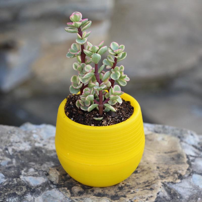 6 Packages Of Succulent Flower Pots Mini Stone Ball Pots Multi-Color Optional Thickened Resin Plastic Pots